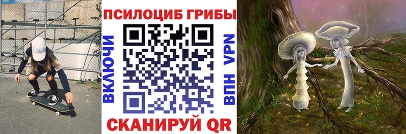 Галлюциногенные грибы GOLDEN TEACHER  Купить  Кизел 